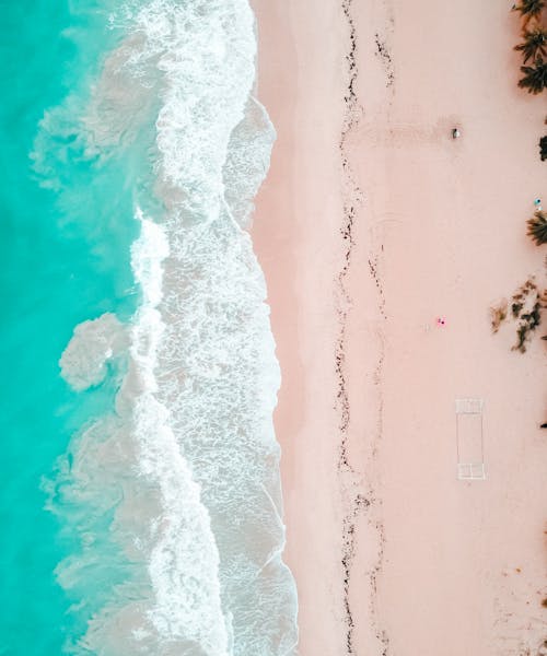 pexels-photo-14251838