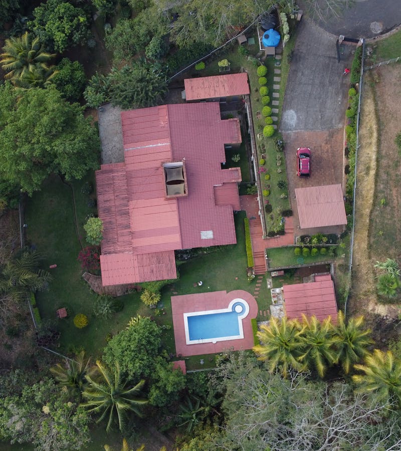 pexels-photo-20351520-1